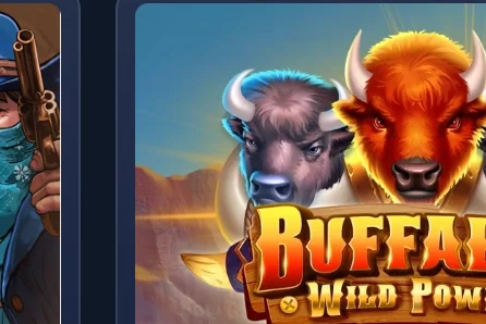Game artwork: Buffalo: Wild Power